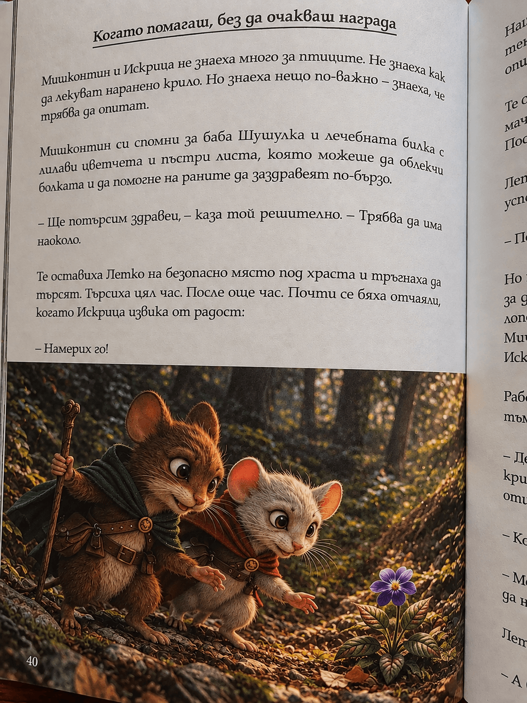 Илюстрация от книгата Мишконтин